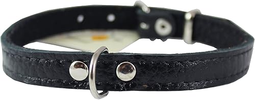 Miniatura 2 de Auténtico piel negro fieltro Perro acolchado cuello 13" x1/2" Amplia Fits 9"-12" cuello, Maltés, Yorkshire Terrier, cachorros