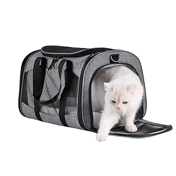 Zagie Cat Carrier Dog Travel Bag Pet Carriers for Small Medium Large Cats & Small Dogs ( Collapsible, Soft Sided, Airline Approved )