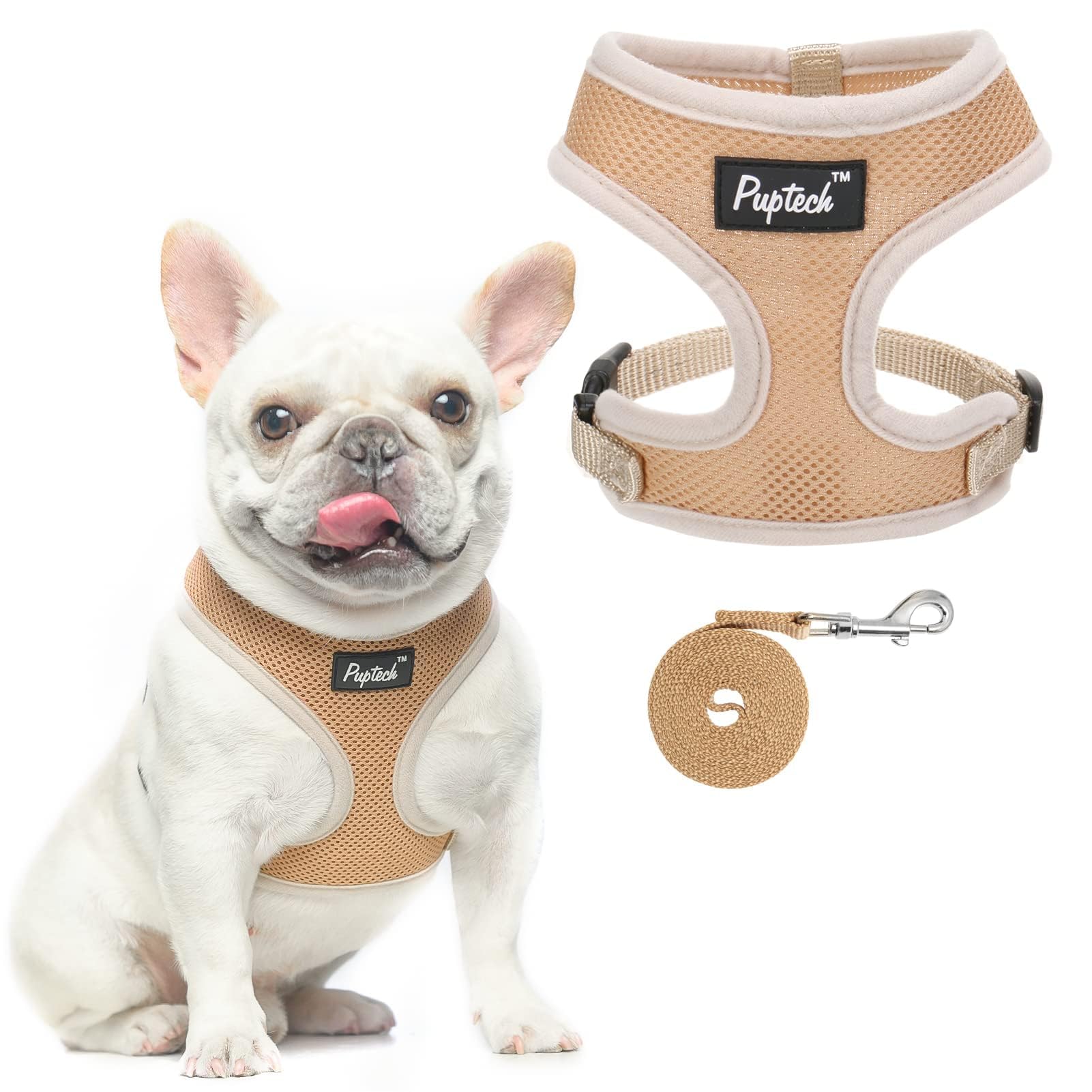 PUPTECK Dog Harness Small Dog Soft Mesh Pet Puppy Cat Comfort Padded Vest No Pull Harnesses and Leash Set — image 1