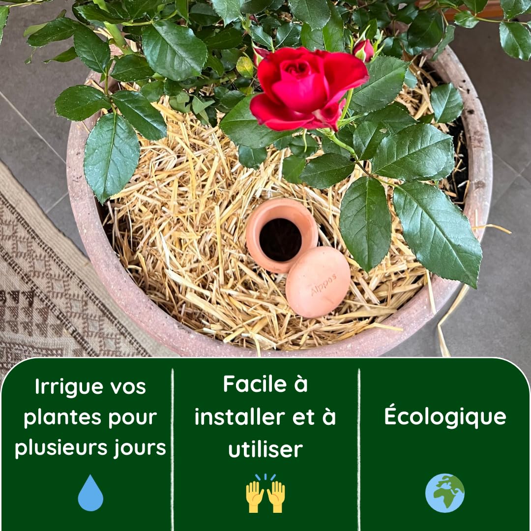 2 Oyas à enterrer 1,2 Litre en Terre Cuite avec Couvercle - ollas pour Plante intérieure et extérieure - Goutte à Goutte par capilarité