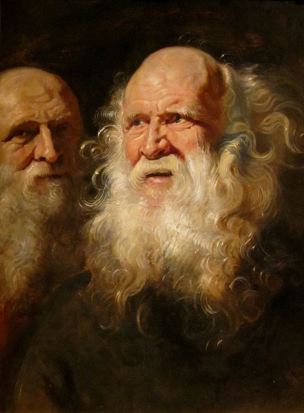 Poster Study Heads of an Old Man Rubens tableau extra large cadre noir mat décoration murale