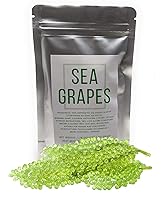 Vista 1 de Umibudo Uvas de Mar - Delicioso Caviar Verde de Algas Marinas, Caulerpa Lentillifera Pura - Uvas de Mar Deshidratadas en Salmuera, Peso neto: 1.76