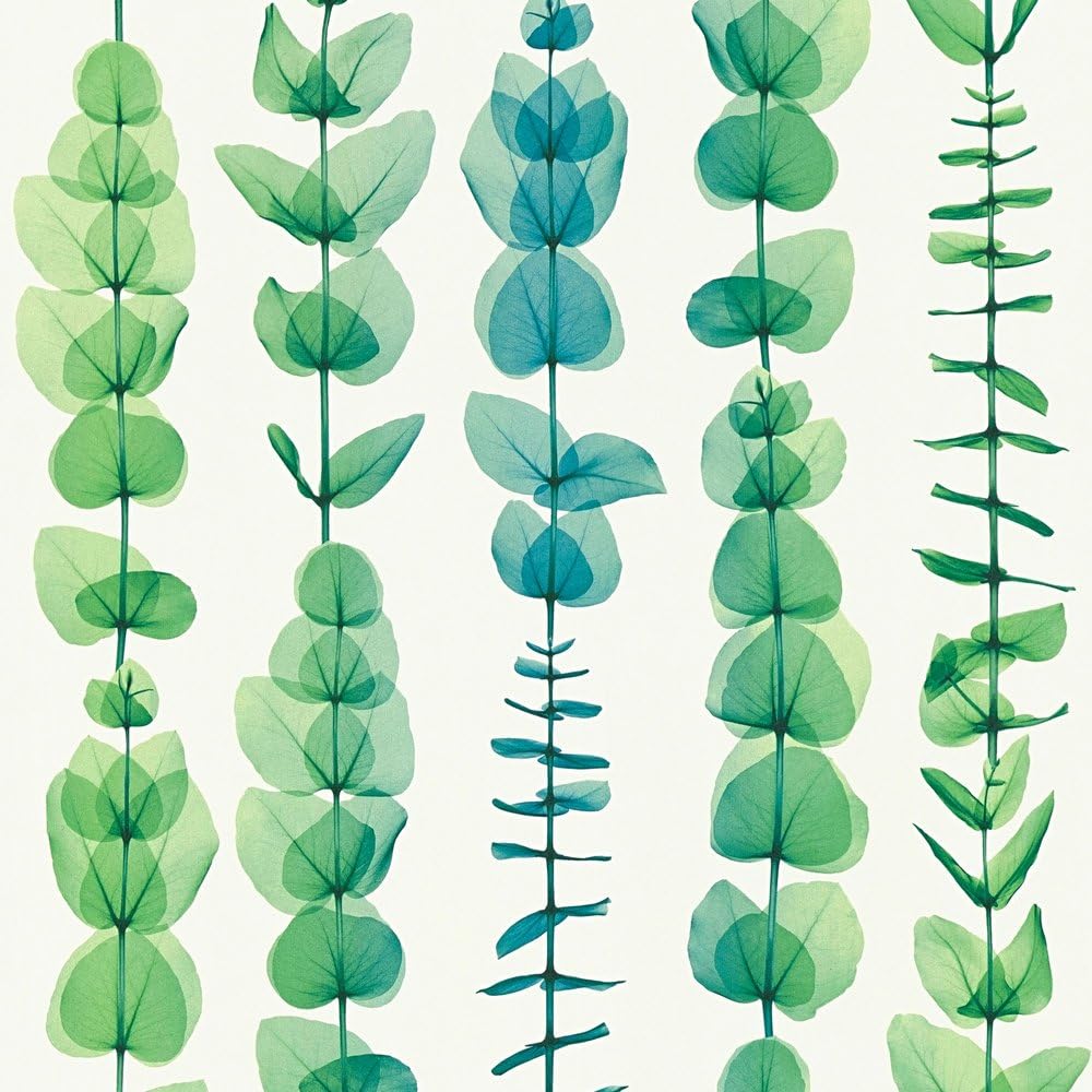 A.S. Creation 342464 Non-Woven X-Ray Collection Wallpaper, Multi-Colour, 10,05 m (Länge) x 0,53 cm (Breite)