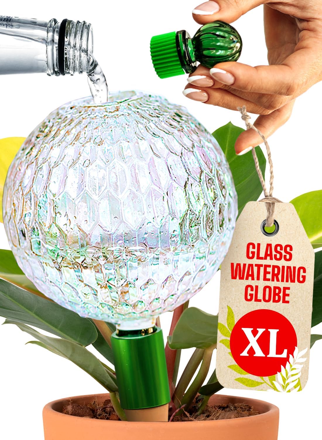 GARDENBRO 16 Oz. Plant Watering Globe with Terracotta Self-Watering Planter Insert