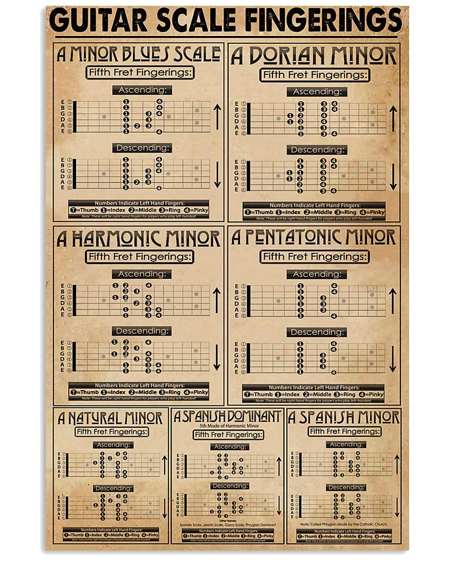 rayprint Guitar Scale Fingerings Metal Sign Vintage Music Room Decor Guitarist Knowledge Tin Poster Home Club Office Wall Decoration Plaque 12x16 Inches