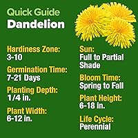 Vista 5 de HOME GROWN Semillas de diente de león para plantar 600 semillas de hierbas medicinales tradicionales (~ 0.01 oz) sin OMG cultivan hojas y flores