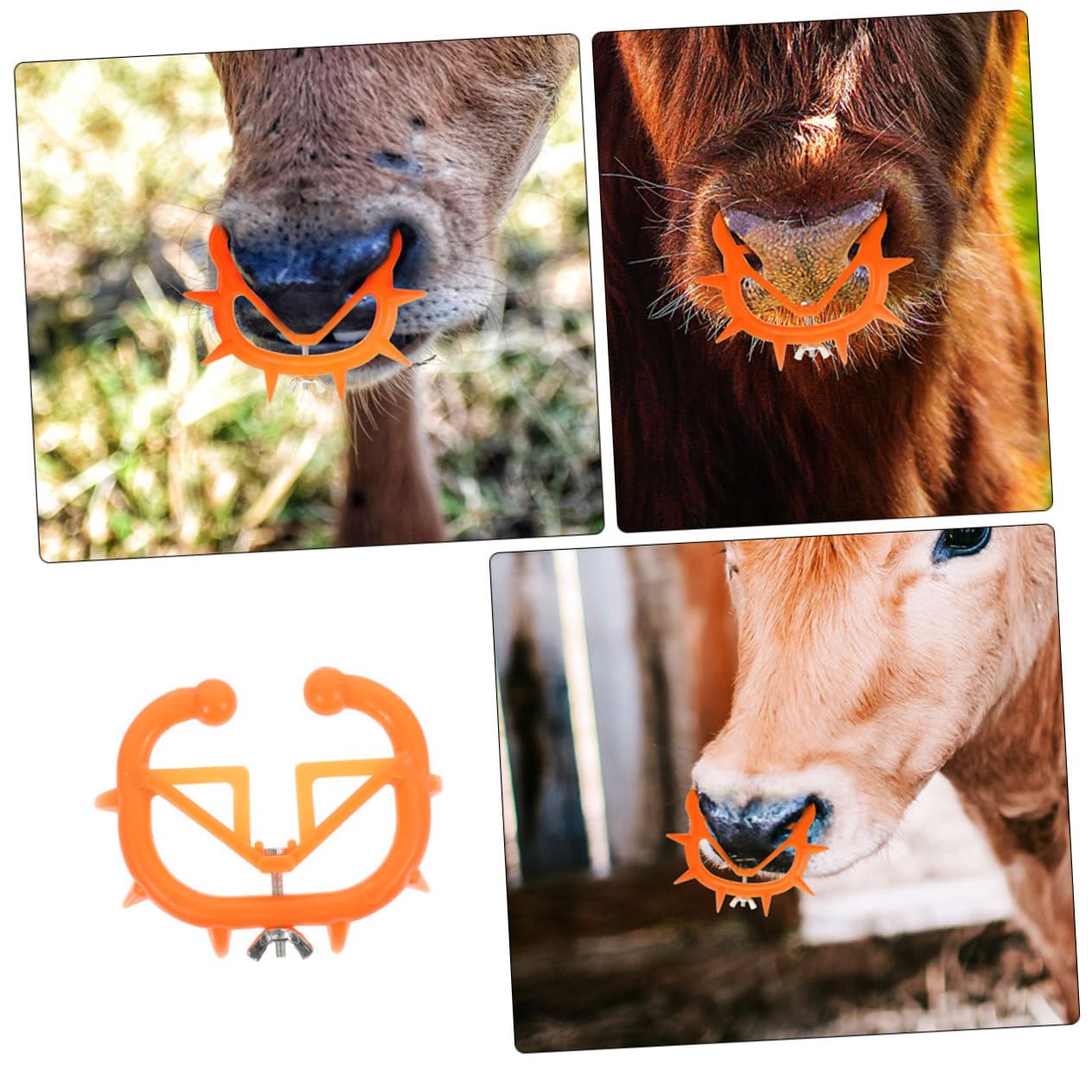 Toyvian 2 Set Anello Svezzamento Per Da Clip Per Naso Bestiame Accessori Per Allevamento Strumento Antisucchio Facile Da Usare E Resistente 12 Pezzi*2
