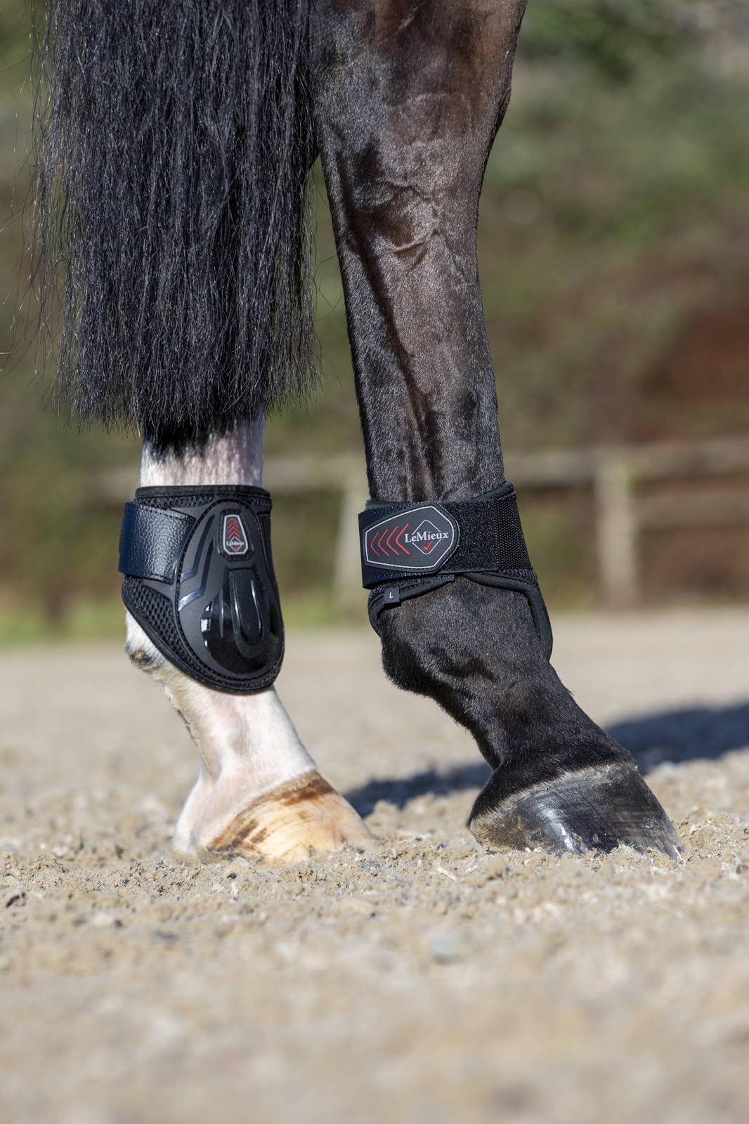 LeMieux Fetlock Buty dla koni – sprzęt ochronny i sprzęt treningowy – buty dla koni, owijki i akcesoria