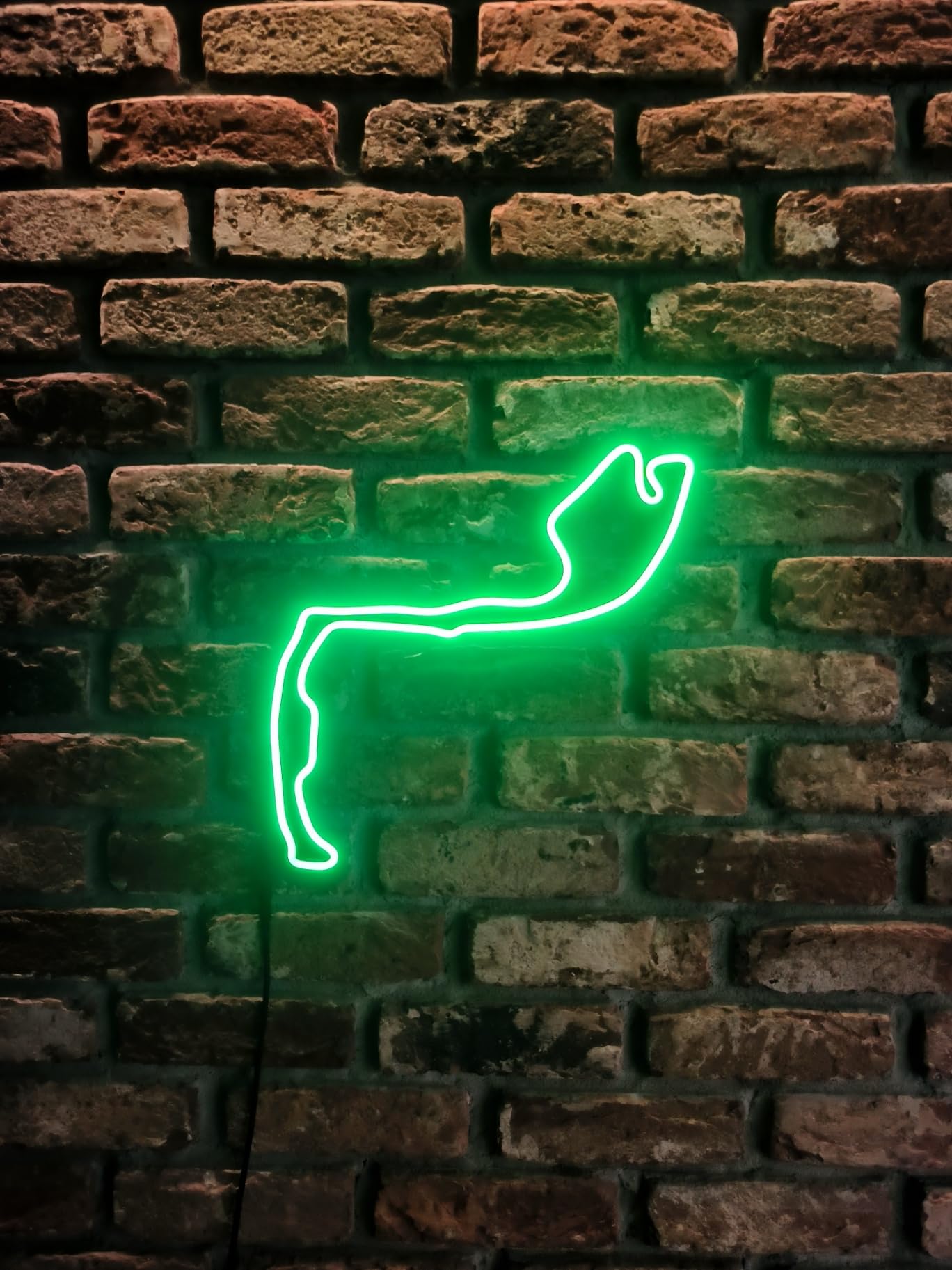 Monaco Circuit de course néon LED Motorsport Contour de piste Lumière Silicone Neon Flex 40 cm Cadeau pour les fans de course Garages Décoration murale Sim Racing Éclairage de chambre