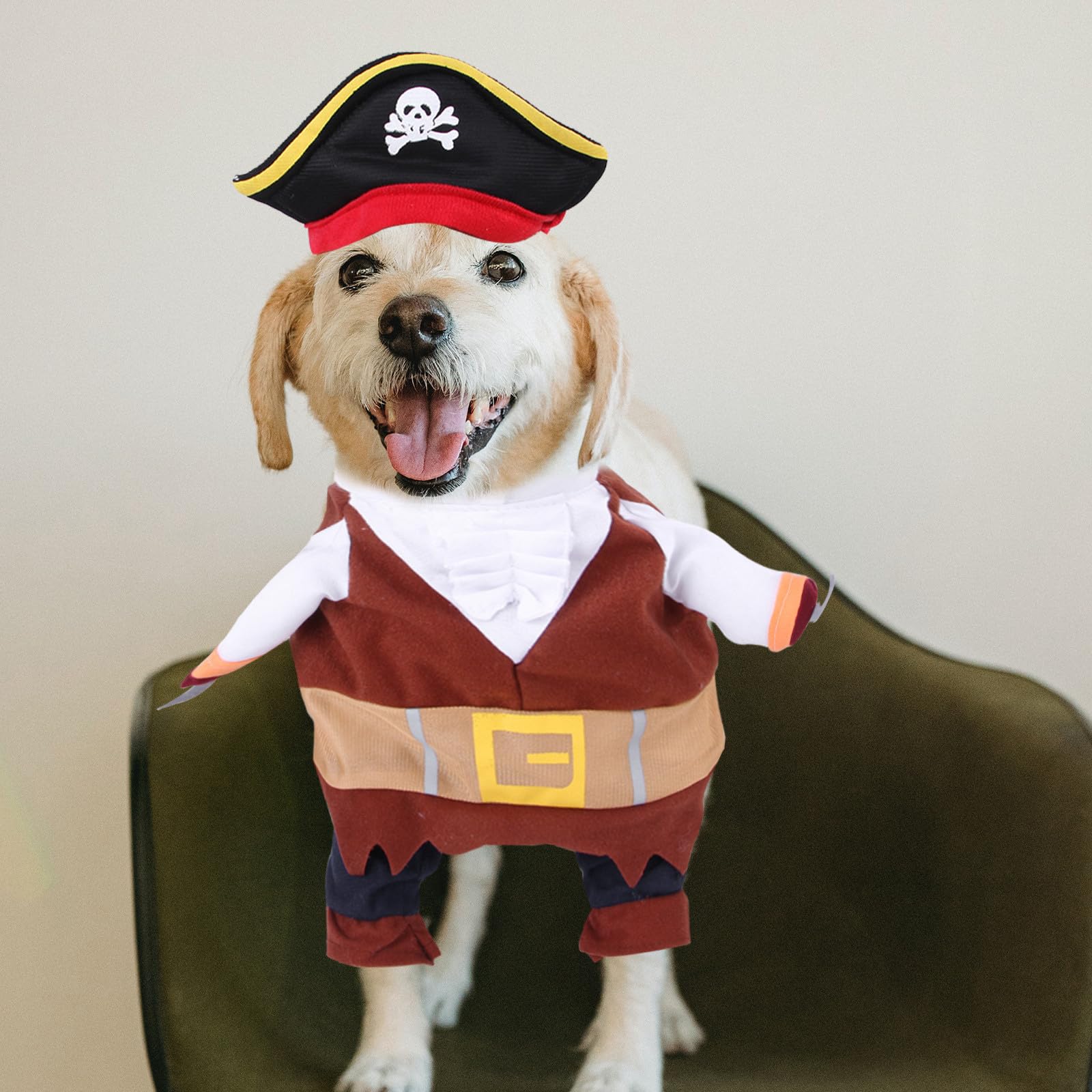 4 Set Costume Pirata per Cani e Gatti, Cotone Xl, Halloween