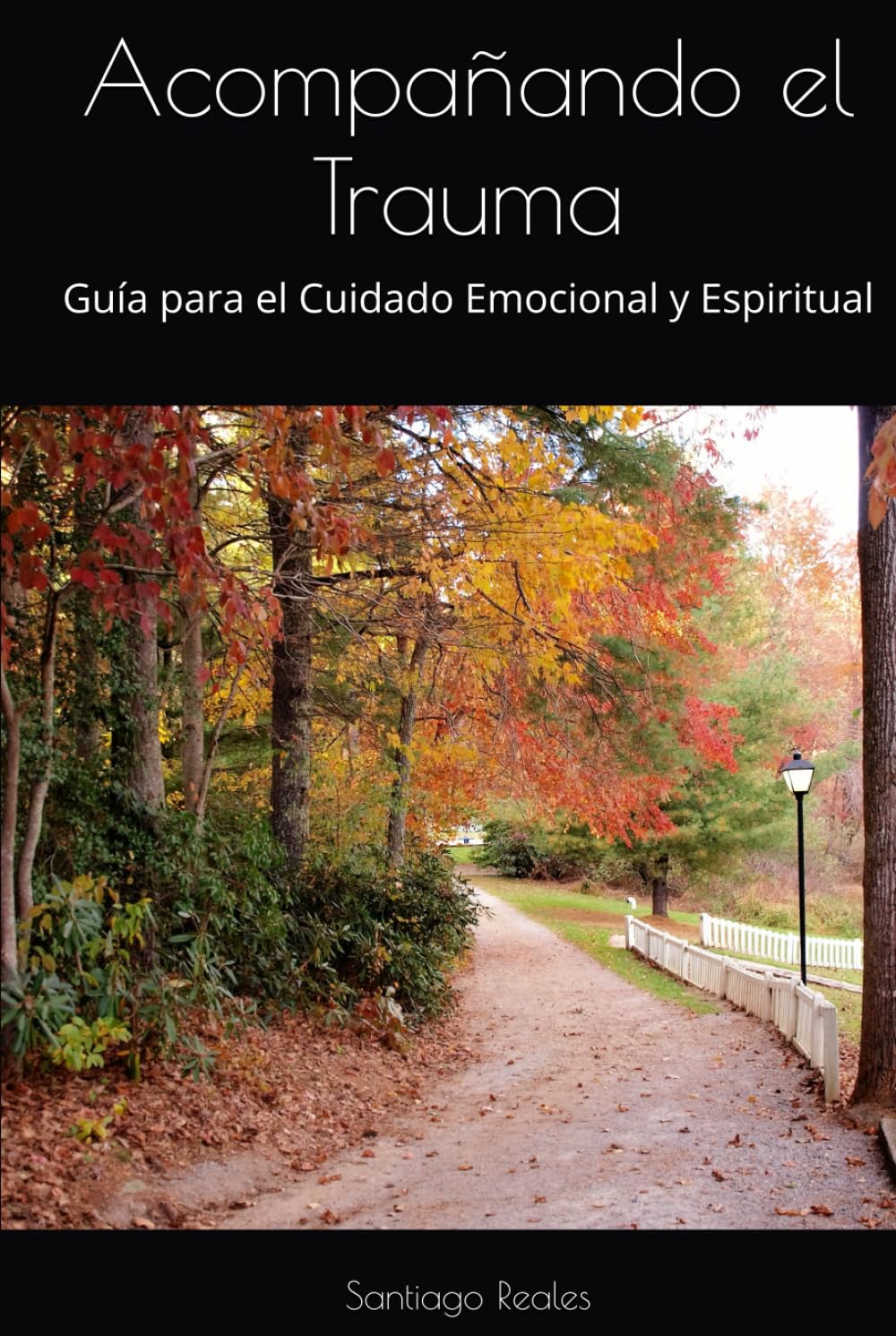 Acompañando el Trauma: Guía para el Cuidado Emocional y Espiritual