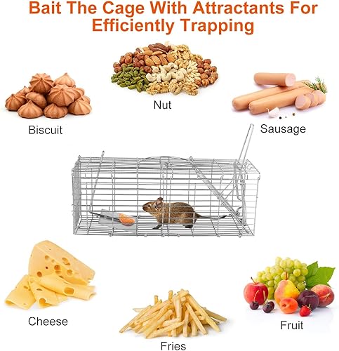 Miniatura 5 de Moclever Trampa para ratas humanitarias, trampas vivas para ratas, jaula de roedores, alambre galvanizado plegable para ardillas pequeñas, ardillas,