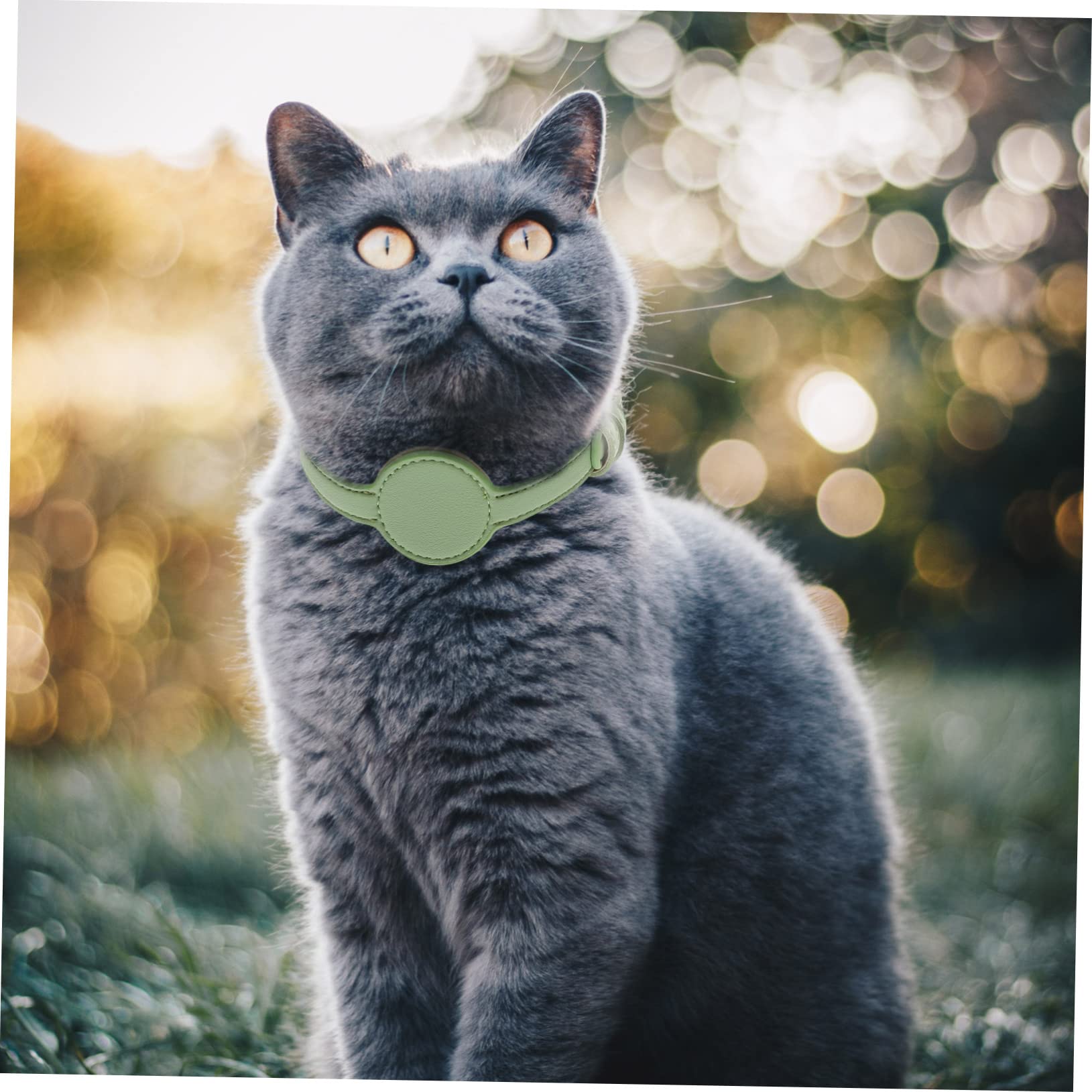 FOMIYES 5stücke Cat Tracer Collar Verstellbares Atmungsaktives Katzenhalsband Aus Pu-Material Leicht Und Bequem Für Outdoor-aktivitäten Kompatibel Mit Helligrün