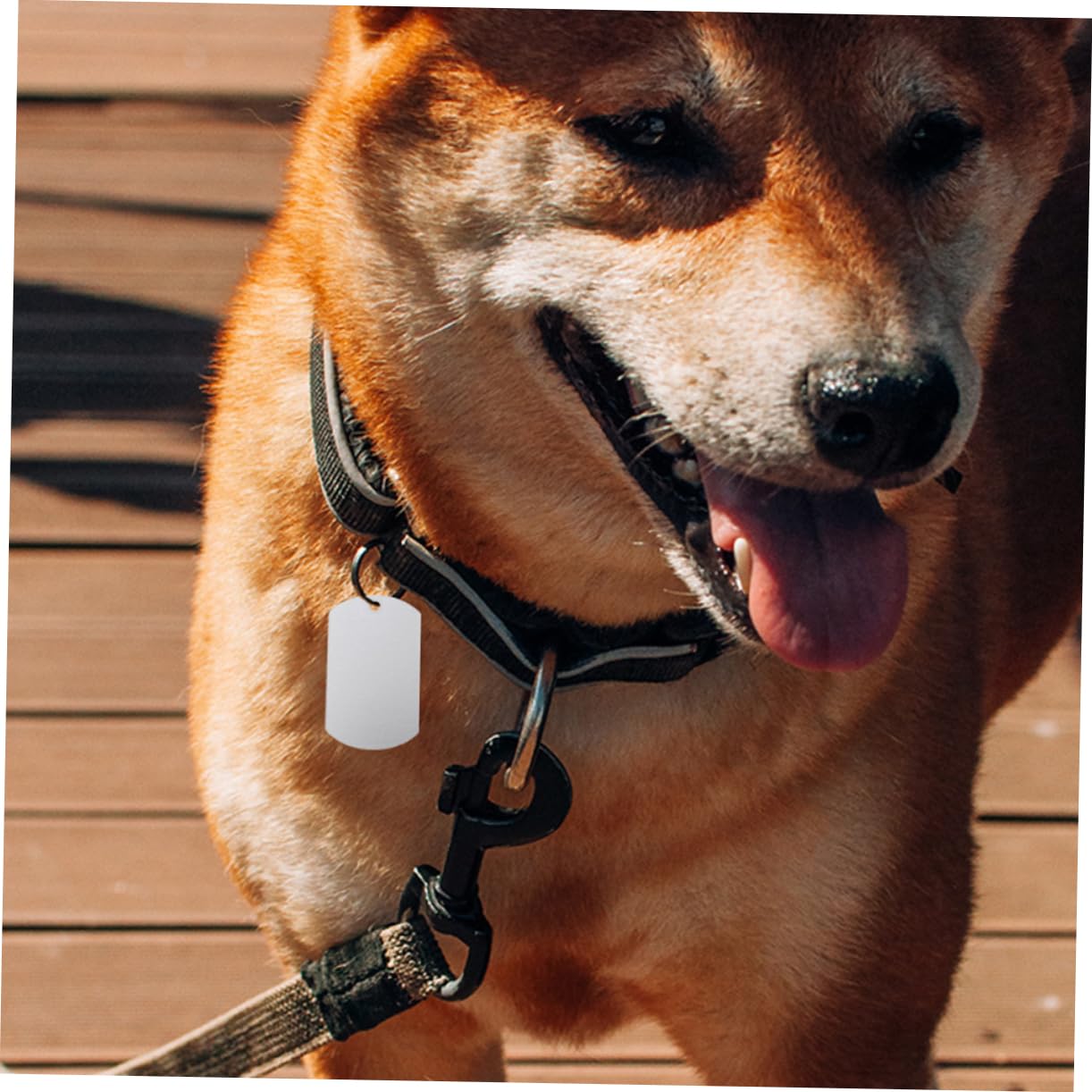 GANAZONO 100pièces Étiquettes Identité Aluminium pour Animaux De Compagnie Médailles Personnalisables pour Chiens Et Chats Étiquettes Vides pour Écouteurs De Bétail