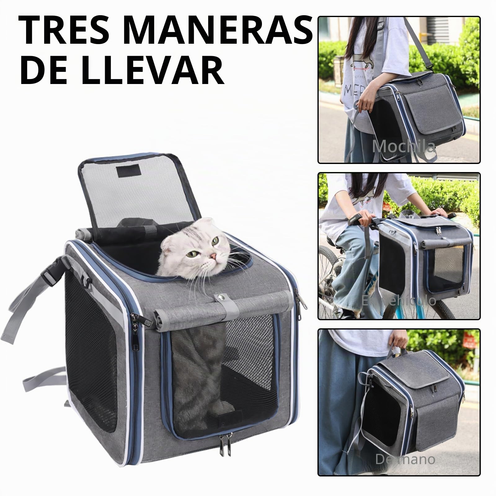 Cesta de Bicicleta para Perro, Canasta de Bicicleta Plegable con Ventanas de Malla Mochila para Mascotas para Perros y Gatos hasta 10KG