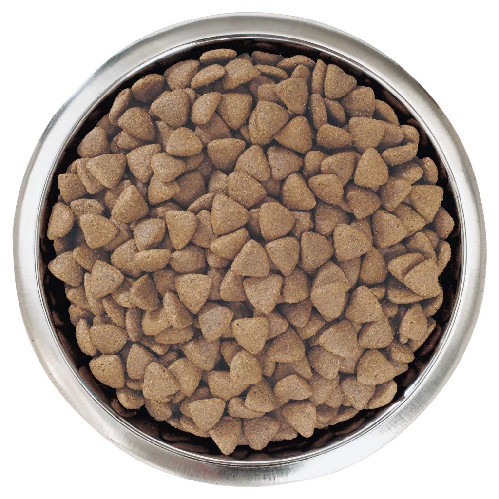 Pro Plan Dog Medium Puppy Hund, Huhn und mit Reis, Trockenfutter Beutel 12 kg + 2 kg gratis, 1er Pack (1 x 14 kg)