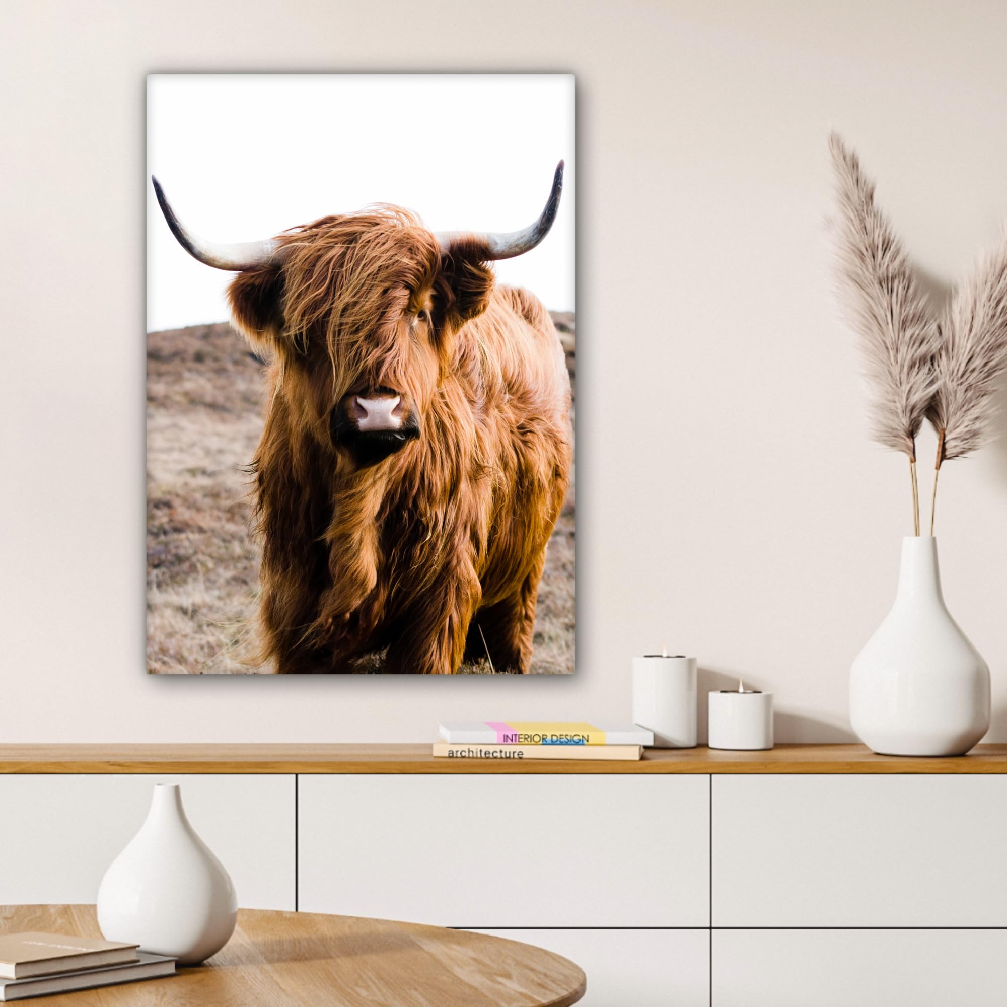 Canvas schilderij - Schotse Hooglander - Horens - Zwart - Dieren - Natuur - Wild - Koe