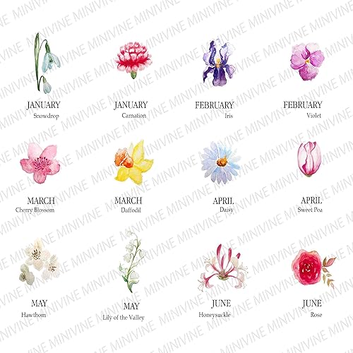 Miniatura 6 de MINIVINE Ideas de regalo para abuelas - Regalos para mamá - Pintura de jardín de abuelas - Flor del mes de nacimiento - Regalos del día de la madre