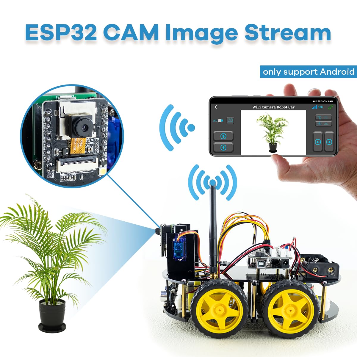 ESP32 CAM image stream from the robot car to a mobile phone, showing a plant