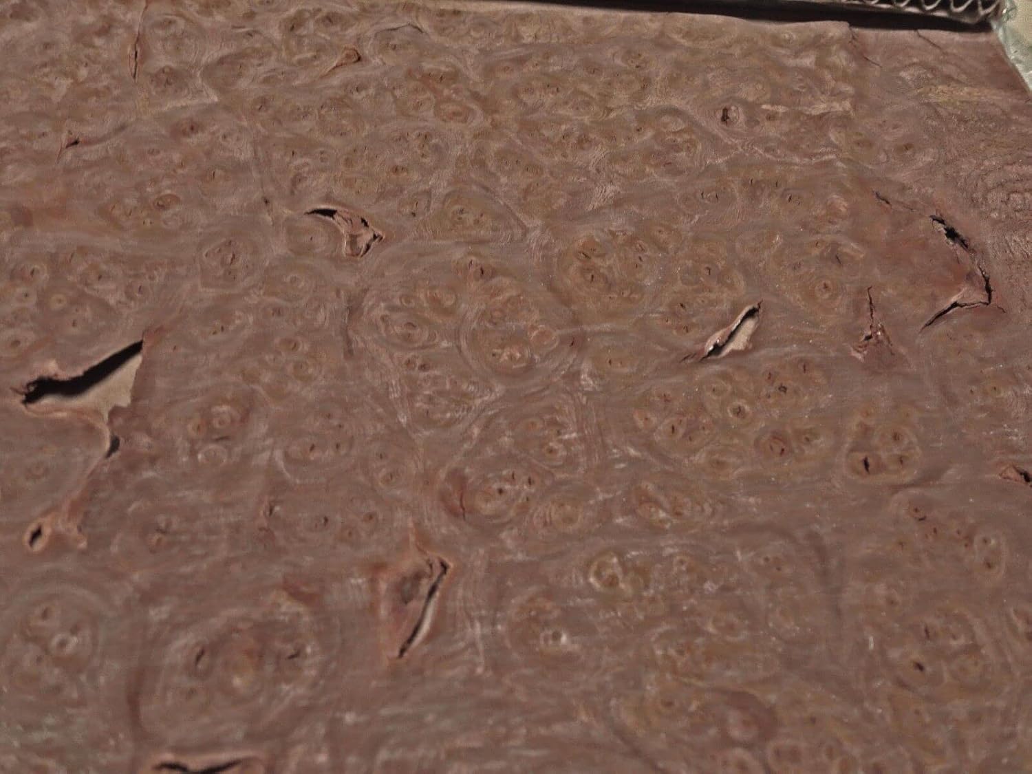 Carpathian Elm Burl Wood Veneer 10" x 15" raw no Backing 1/42" Thickness AA