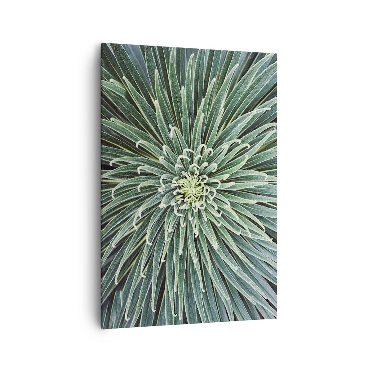 Lienzos decorativos 70x100cm Cuadro Sobre Lienzo Moderno Vertical Agave Verde Planta Grande Dormitorio Cocina Cuadros Pared Imágenes Cuadros Decoracion Salon Wall Art Prints Decor PA70x100-4905