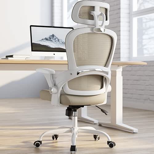TRALT Office Chair - Ergonomic Office Chair with Back Support,
