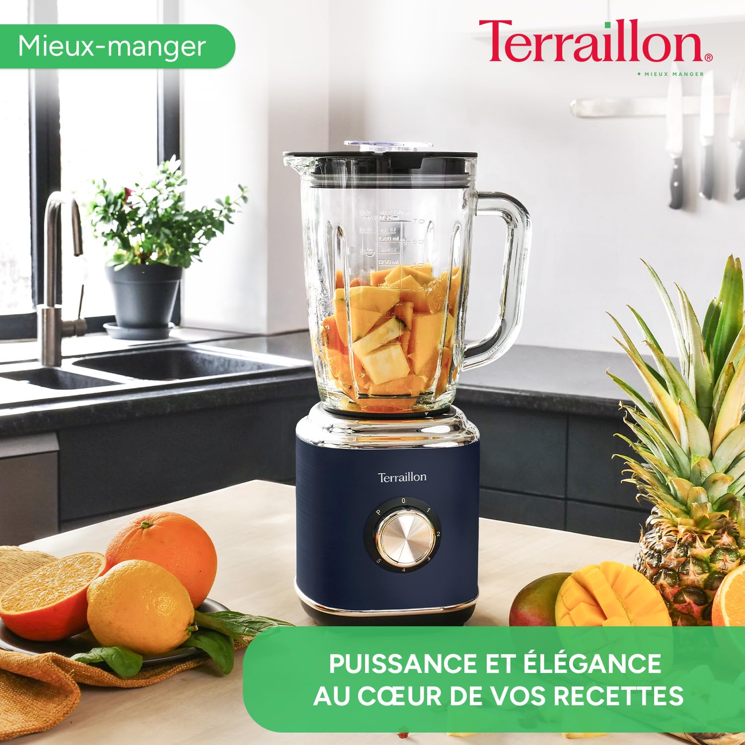 TERRAILLON - NEW MOON- Blender Electrique, Capacité 1.75L, 600W, Bol en verre, 5 vitesses réglables, Fonction Pulse, 4 Lames en Inox, Couvercle anti-débordement, Corps en Inox peint, Bleu