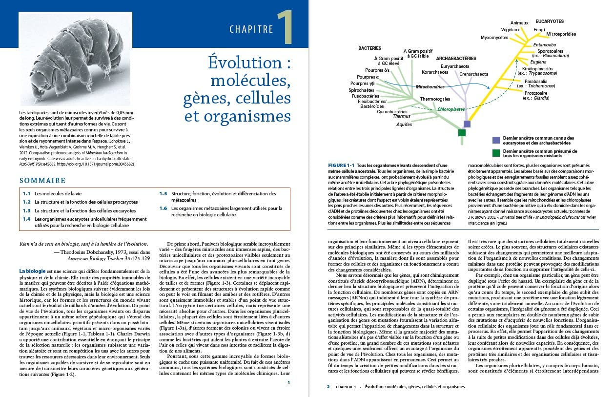 Biologie moléculaire de la cellule