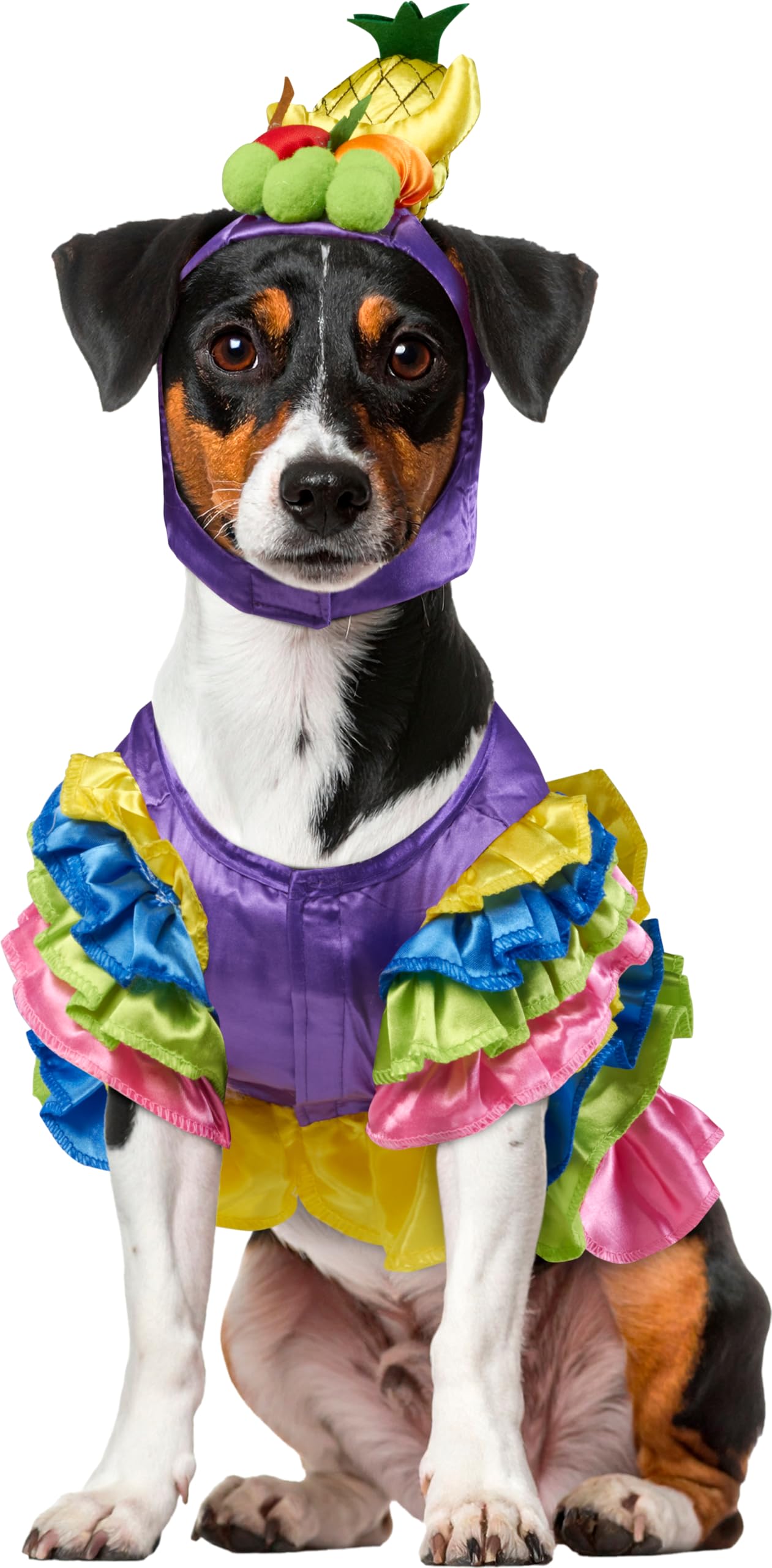 Rubies - Disfraz de Bomba brasileña para Mascotas, tamaño Mediano