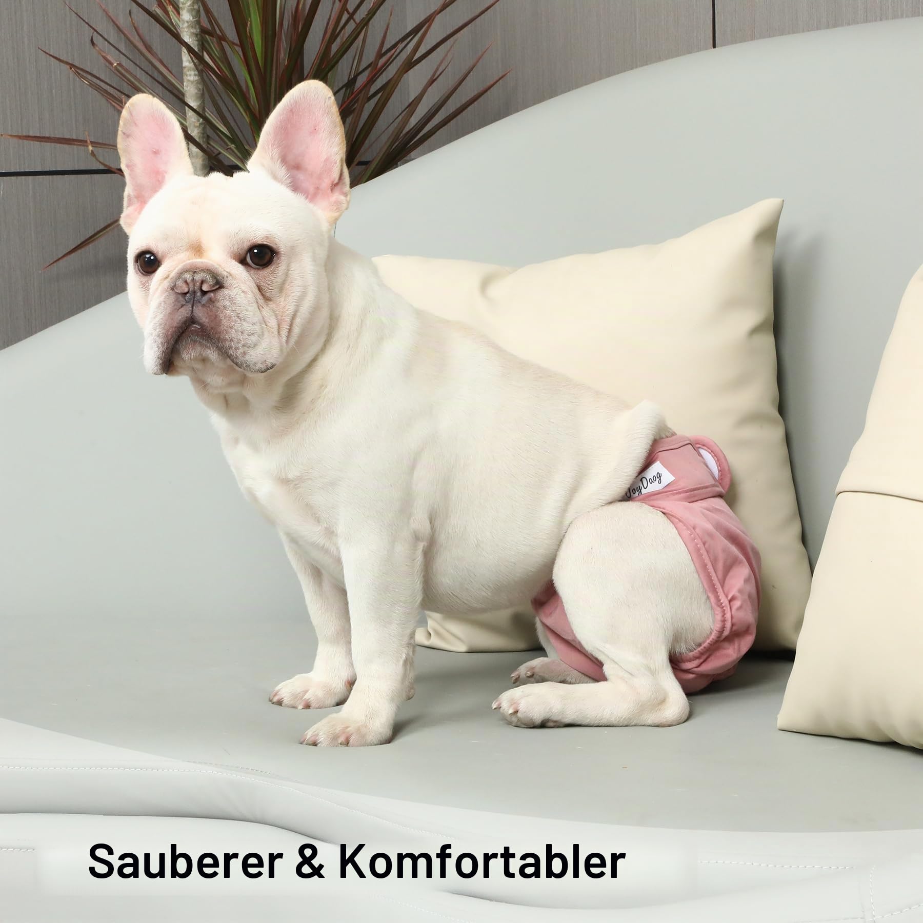 JoyDaog Hundewindeln für kleine Hunde, wiederverwendbar und waschbar, hochwertig, für kleine Hunde, für Läufigkeit, Inkontinenz, Menstruationswindeln, S