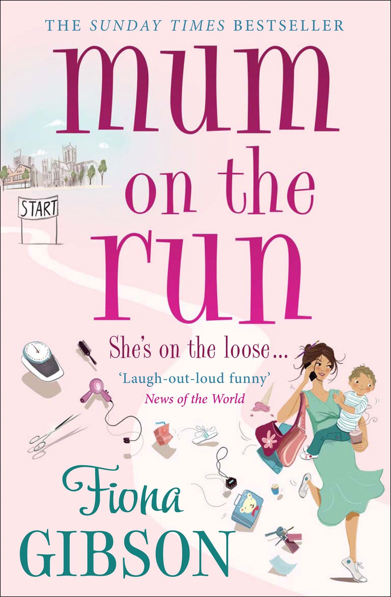Mum On The Run By Fiona Gibson