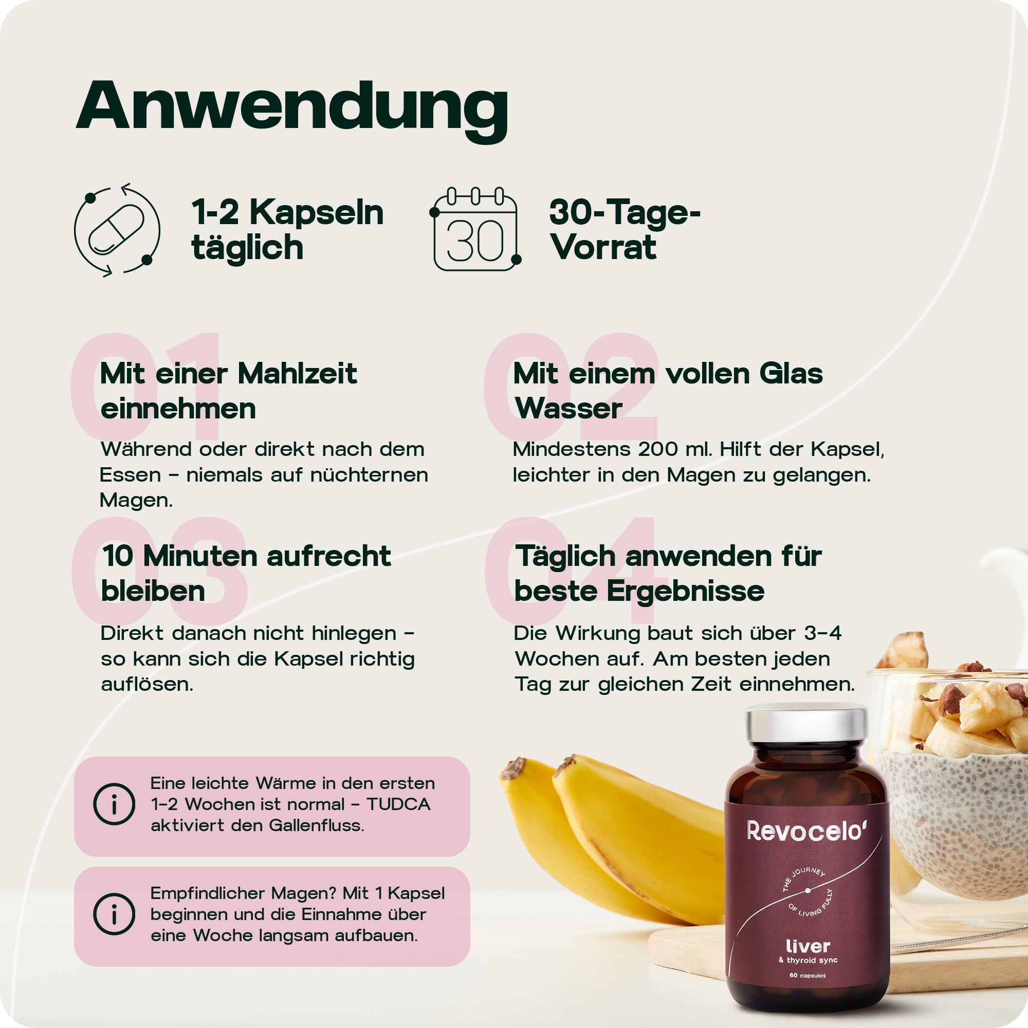 Leber-Komplex mit TUDCA | Schilddrüsen-Umwandler Formel + liposomales Glutathion, Cholin und Selen - produziert in Europa - 60 Kapseln