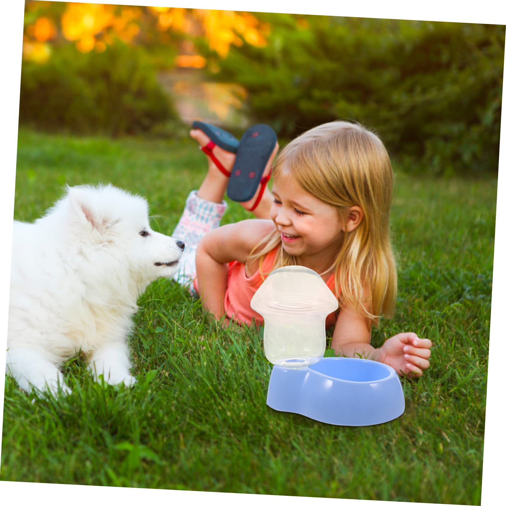 COLLBATH 3sätze Automatischer Transparenter Wasserspender Für Haustiere Kunststoff Trinknapf Für Hunde Und Katzen Einfach Zu Reinigen Für Und Unterwegs
