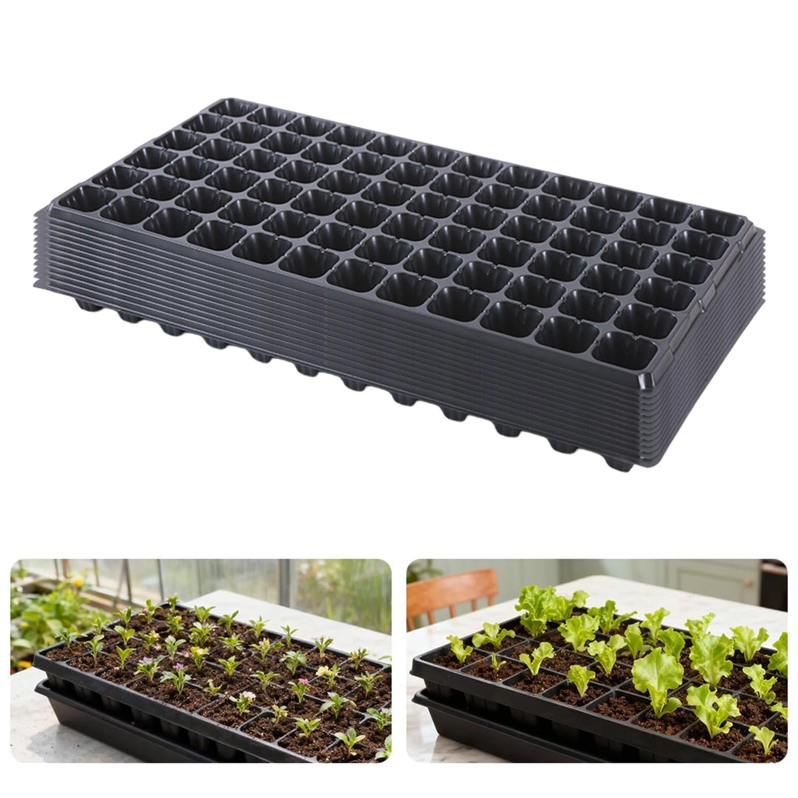 Perfeclan 12 Pièces Plateaux Semis Plateau Germination Graines Réutilisable Multi Compartiments Propagation Plantes Matériau PP Aéré Convient Maison Serre, 72 cellules