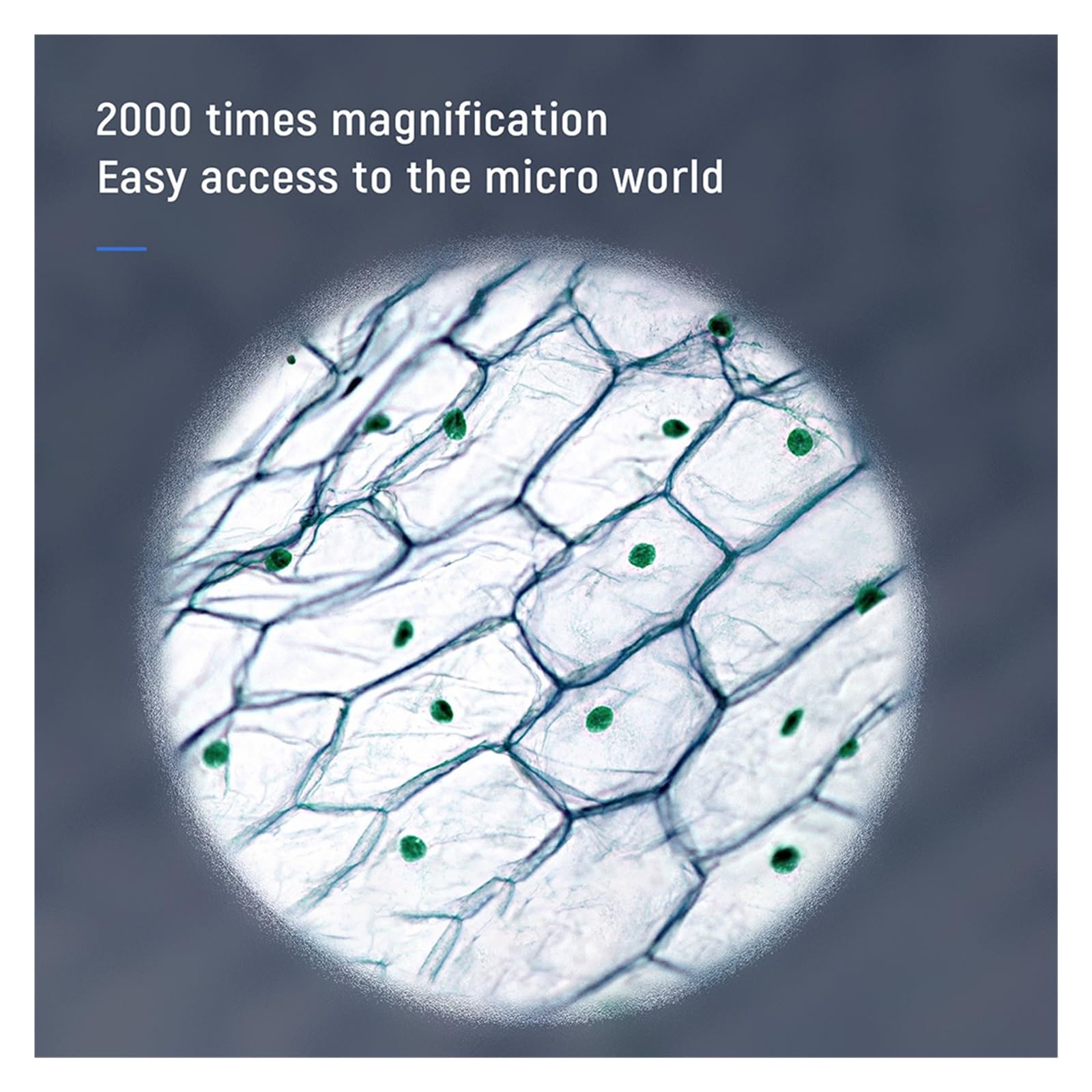 Microscopio, Microscopio Digital 2000X 5,0 M Píxeles Pantalla De Doble Lente Compatible con Electrónico For Placa Circuito Soldadura