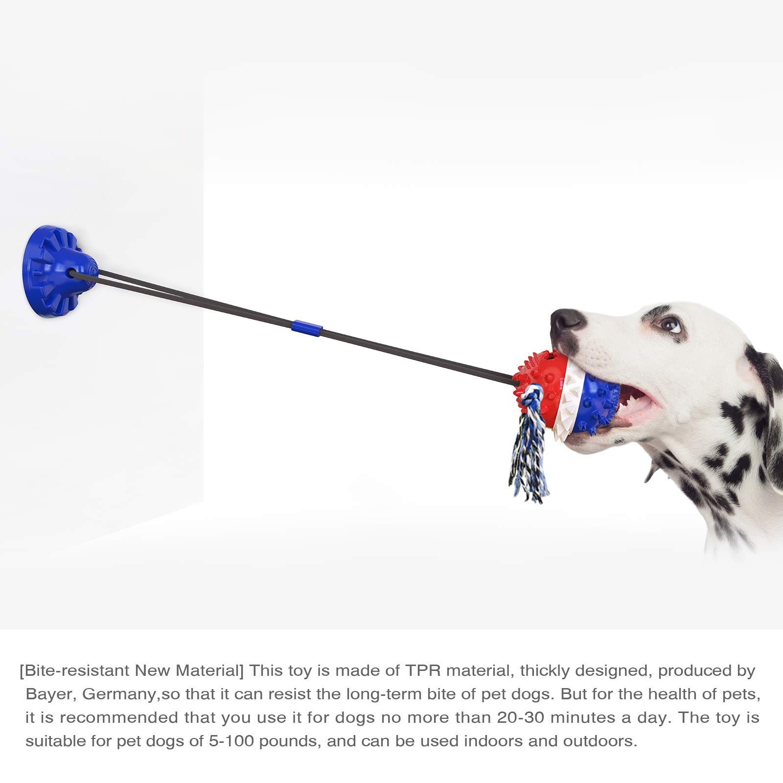 Juguete para perros con ventosa, rompecabezas interactivo para tirar de la guerra, juguete para mascotas, bola chirriante con cuerda de algodón para masticadores agresivos medianos y grandes