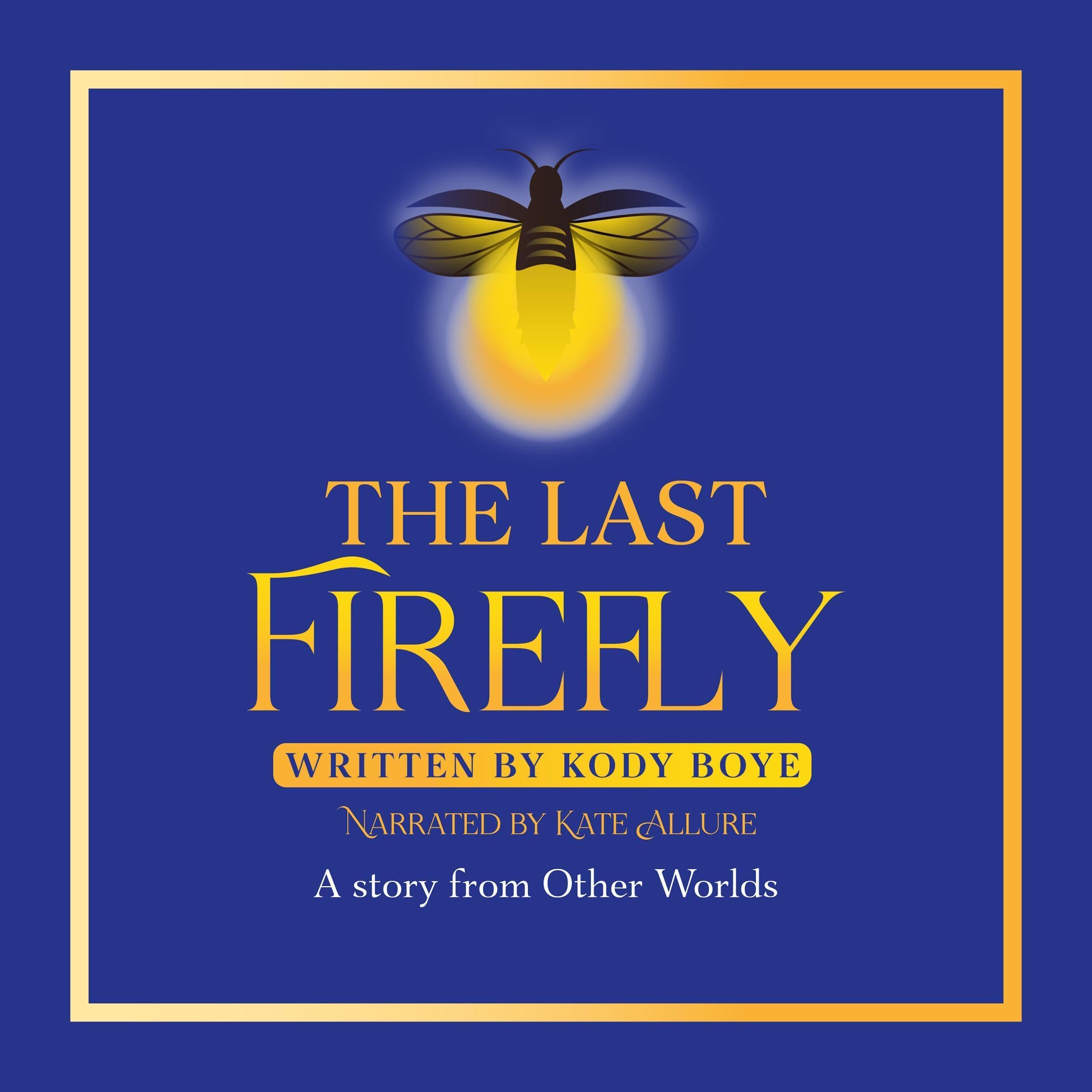 Cover art for The Last Firefly