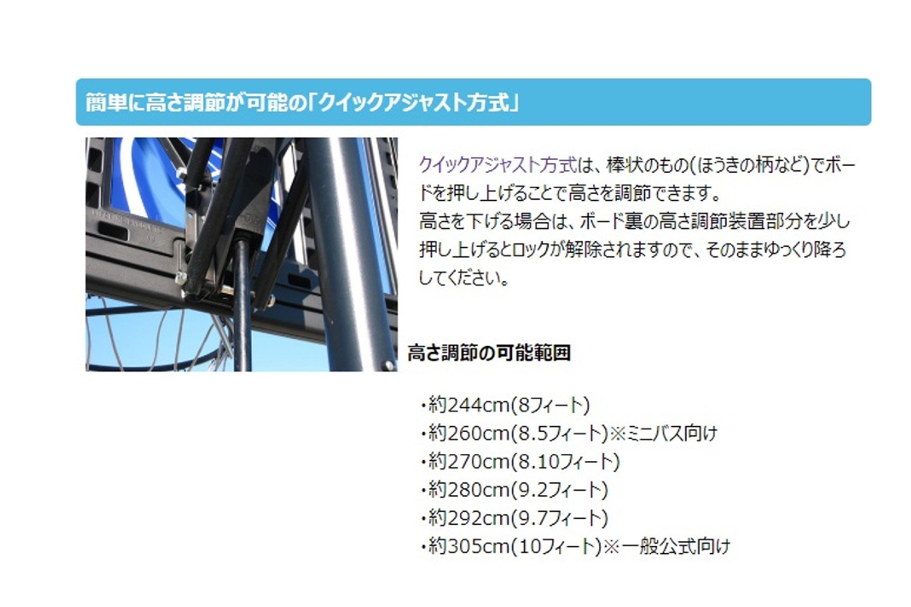 Amazon.co.jp: LIFETIME ライフタイムバスケットゴール LT-1531 48 