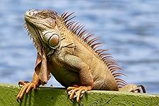 Review Image by C. Long C. Long