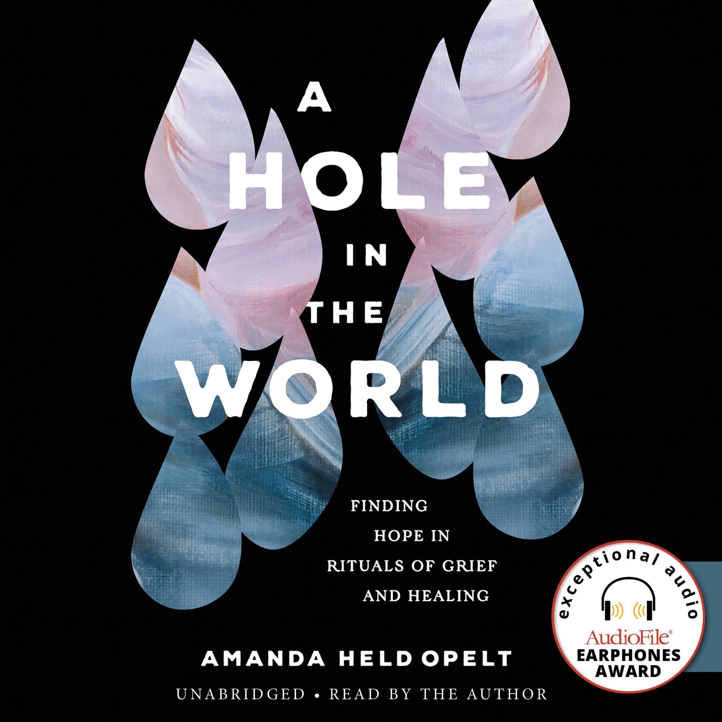 Cover art for A Hole in the World