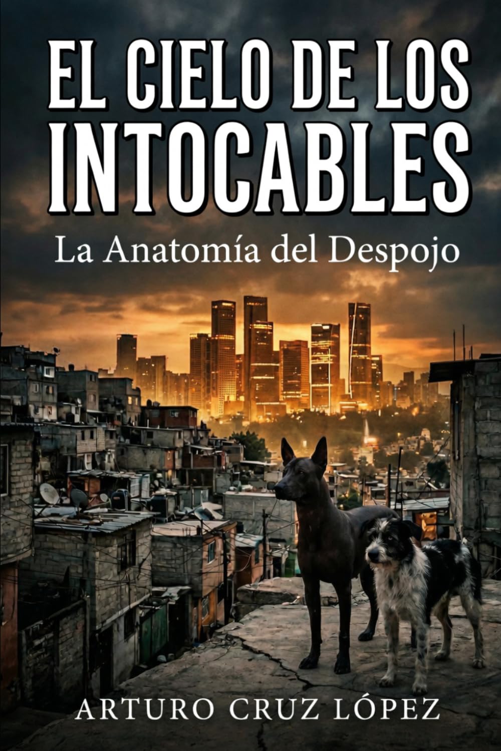 EL CIELO DE LOS INTOCABLES: LA ANATOMÍA DEL DESPOJO