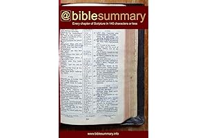 Bible Summary: Every Chapter in 140 Characters or Less