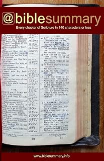 Bible Summary: Every Chapter in 140 Characters or Less