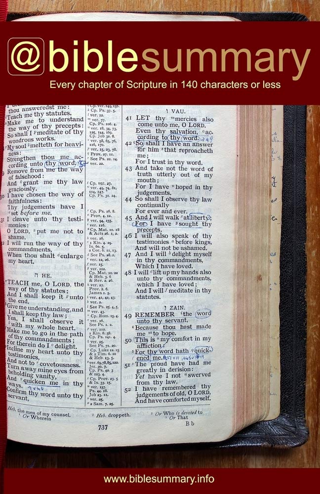 Bible Summary: Every Chapter in 140 Characters or Less