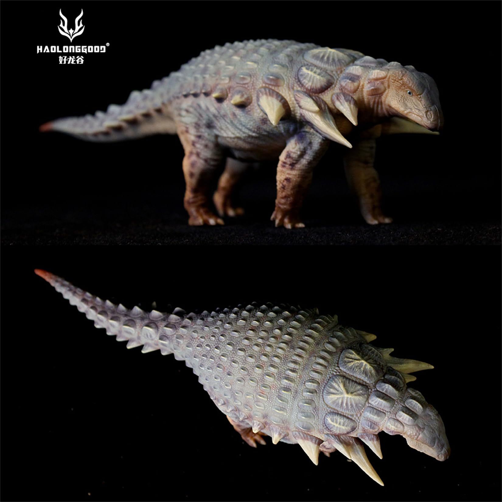 Amazon | HAOLONGGOOD 1/35 エドモントニア フィギュア 17.5cm級 白