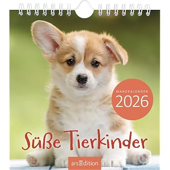 Wandkalender S e Tierkinder 2026 Monatskalender 2026 mit 12 heraustrennbaren Postkarten Tierfreunde