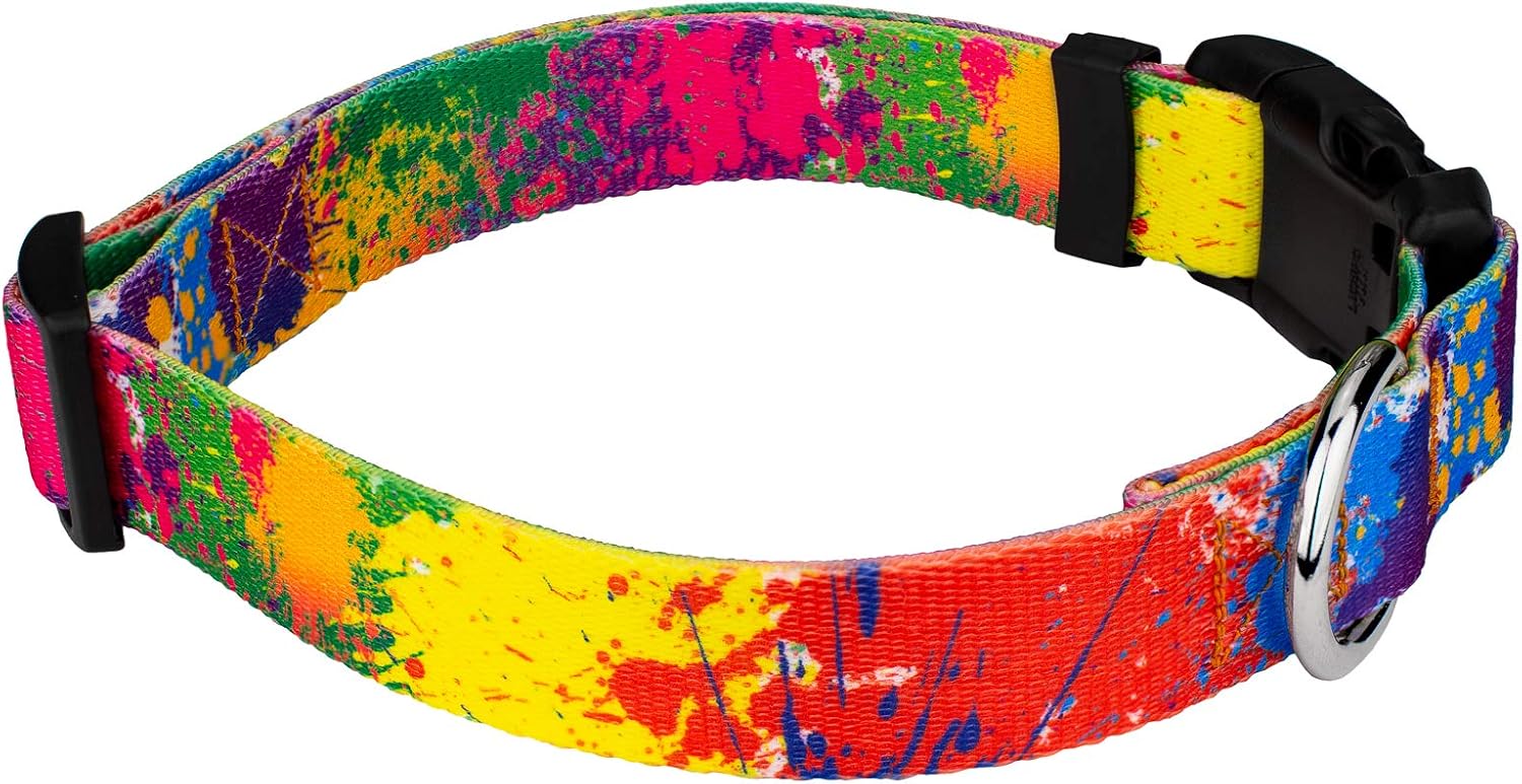 Country Brook Petz - Paint Splatter Everyday Dog Collar and Leash - Groovy Collection Featuring Far Out Designs (1 Inch, Large)