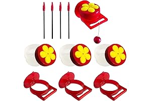 Handheld Hummingbird Feeders with Suction Cup