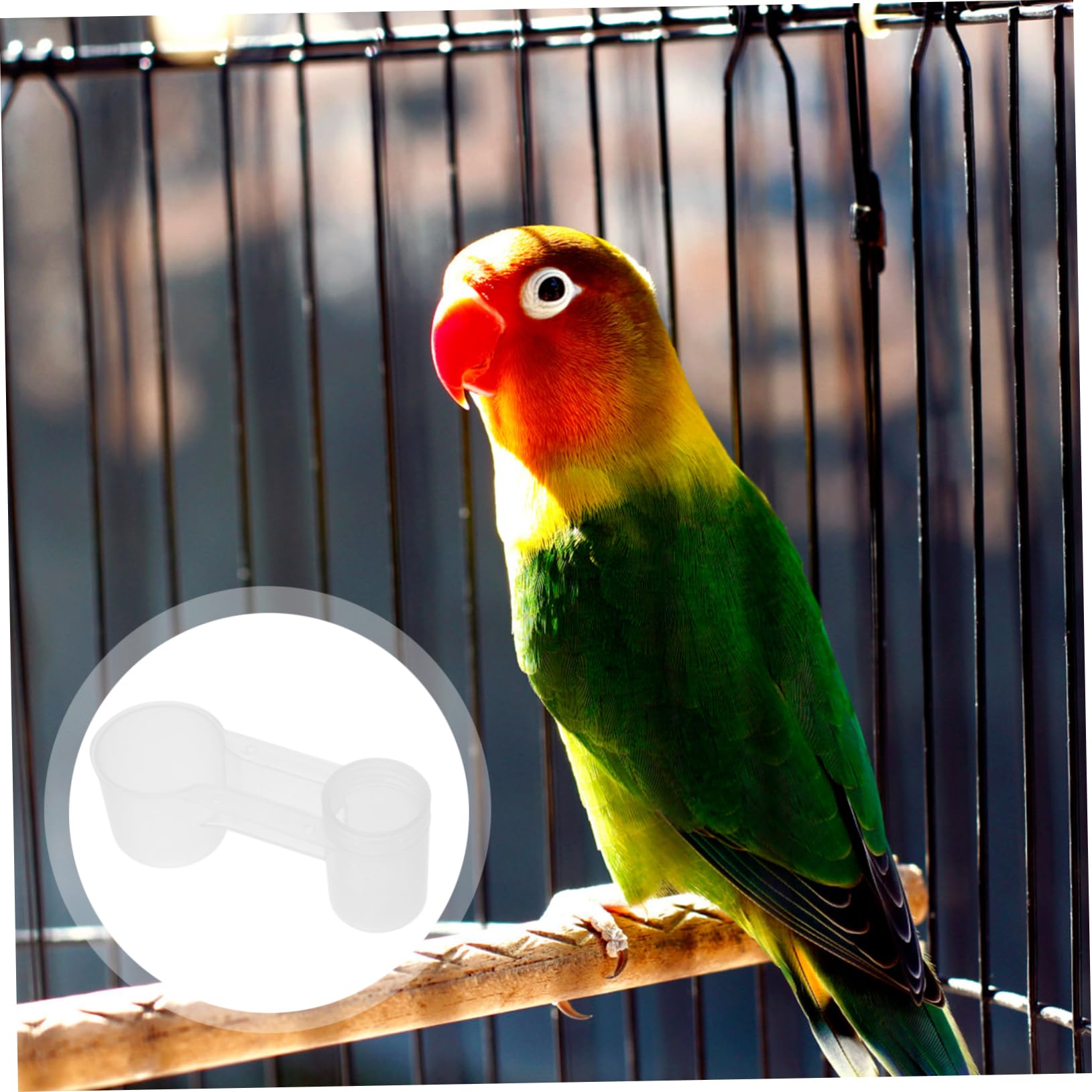 BESPORTBLE 10 Uds Bebedero De Agua para Pájaros Pantalla De Rafia Aguas De Pollo Y Alimentador Bebedero para Pájaros Bebedero Automático para Palomas Bebedero para Pájaros Taza Bebedero para