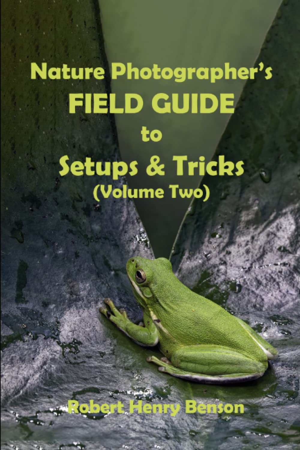 NATURE PHOTOGRAPHER'S FIELD GUIDE TO SETUPS & TRICKS: (Volume Two): Setups and Techniques for Capturing Stunning Nature Images